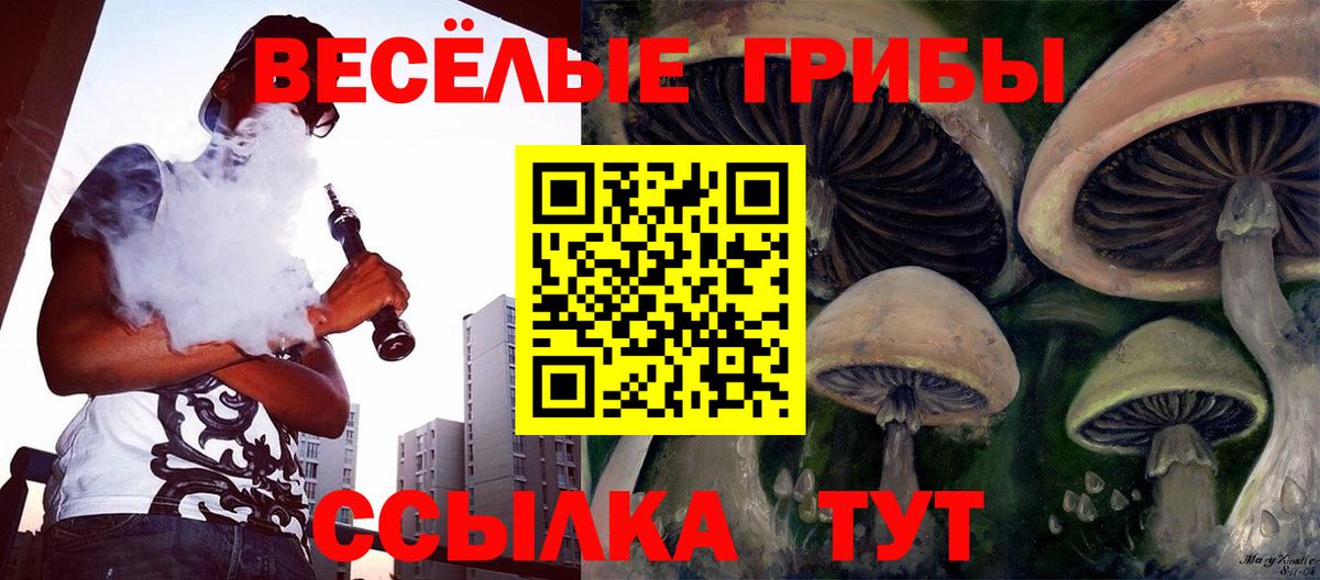 где можно купить наркотик  Галлюциногенные грибы мухоморы  Вход с VPN  Алапаевск  Галлюциногенные грибы Psilocybe 